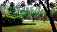 Dahulu, taman ini dinamakan Taman Honda karena kerjasama Pemprov DKI dengan perusahaan motor, Honda. Namun kini tidak lagi dan akhirnya berganti nama menjadi Taman Kota Tebet (Shafa/detiktravel)