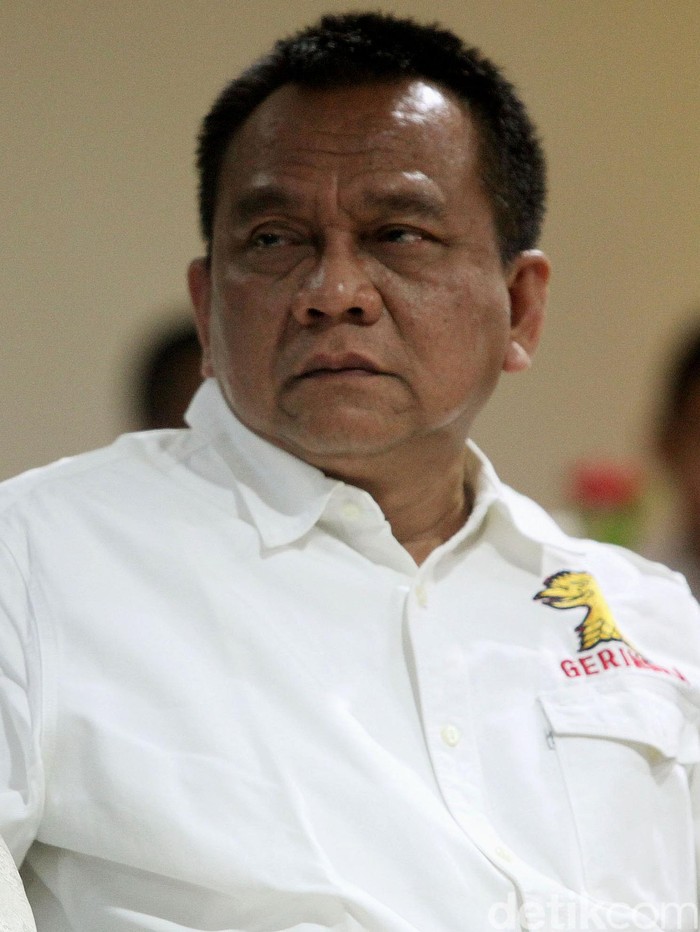 Gerindra DKI Yakin Golkar Tak Dukung Ahok di Pilgub 2017