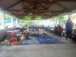 4 Orang Eks Anggota Gafatar Tiba di Yogya, ini Lokasi Penampungannya