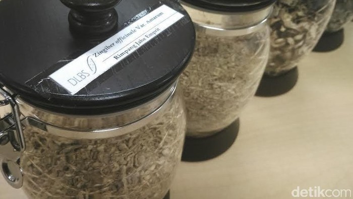 Kaya Keanekaragaman Hayati, RI Tak Perlu Impor Bahan Baku Obat Herba