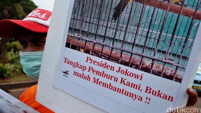 Aksi Stop Beli Burung di Pasar Satwa Liar