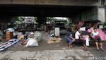 Korban Kebakaran Mengungsi di Kolong Jembatan