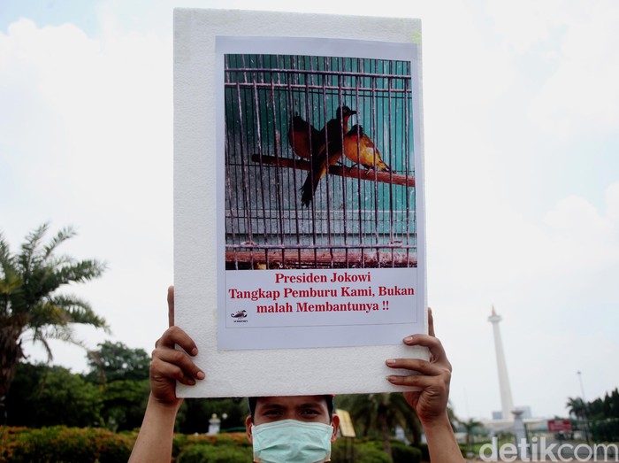 Karantina Soekarno-Hatta Gagalkan Penyelundupan 72 Ekor Burung