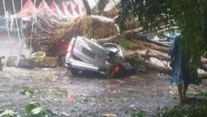 Pohon Tumbang Timpa Mobil, Pengemudi Selamat