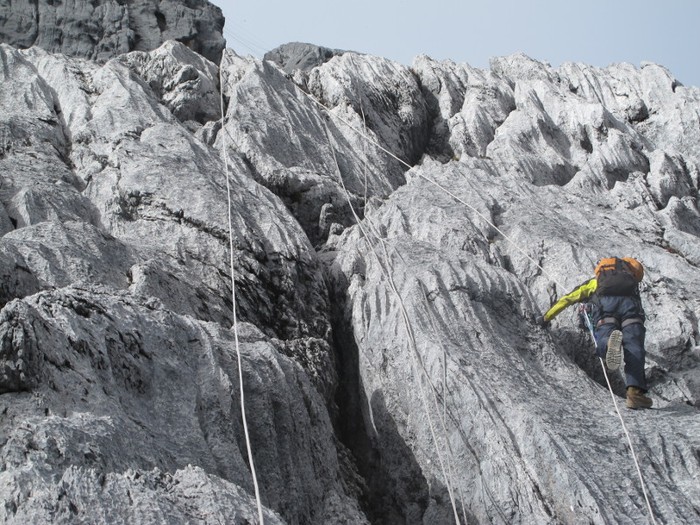 Panjat tebing menuju Puncak Carstensz