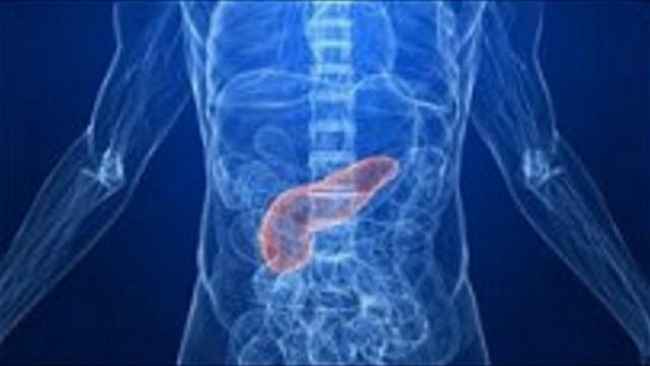 Duh! Ternyata 6 Kebiasaan Sehari-hari Ini Membahayakan Pankreas