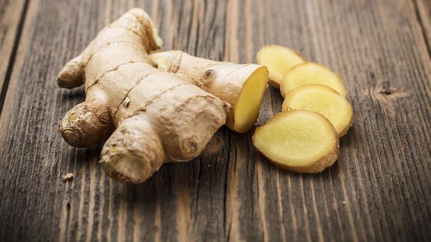 ginger atau jahe merupakan tanaman herba Indonesia dengan banyak manfaat