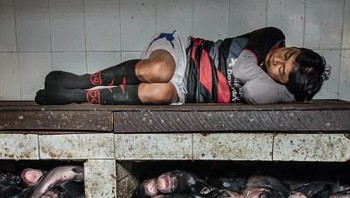 Seorang pekerja pasar ikan yang tertidur karena kelelahan karya foto Sue oConnell.  Foto: National Geographic Traveller