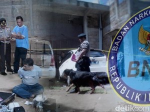 BNN Gagalkan Penyelundupan 25 Kg Sabu dari Jaringan Indonesia-Malaysia