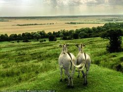 Karya Memukau Kontestan NatGeo Traveler