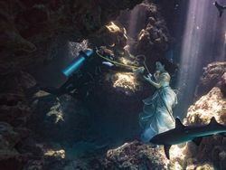 Potret Bidadari dalam Laut Dikelilingi Hiu