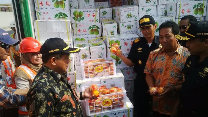 Penyelundupan 59 Ton Jeruk Asal China yang Diaku Buah Pir Digagalkan