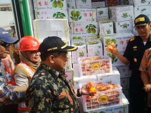 Penyelundupan Jeruk Diduga Terkait dengan Meningkatnya Permintaan Jelang Imlek