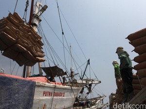 Pabrik Baru Mulai Beroperasi, SCG Fokus Tingkatkan Produksi Semen