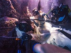 Potret Bidadari dalam Laut Dikelilingi Hiu