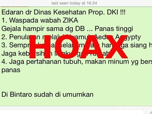Beredar Pesan Berantai tentang Zika, Dinkes DKI Belum Terima Laporan Kasus