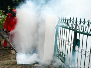 Saktinya Para Nyamuk, Puluhan Tahun Dibasmi Tapi Tidak Punah-punah