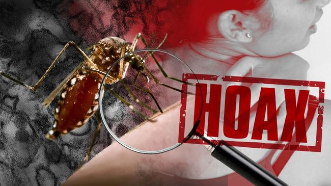 Detiknews Virus Zika | pesan berantai soal meninggalnya bos lv dan virus zika di Detiknews Virus Zika | pesan berantai soal meninggalnya bos lv dan virus zika di