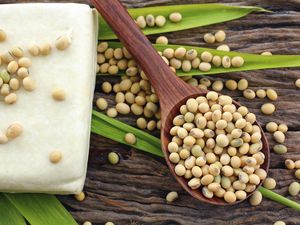 Makanan dari Kandungan Kedelai Ini Berisiko untuk Kesehatan