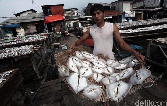 Susi Bikin Asuransi Untuk Nelayan, Begini Skemanya