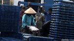 Cuaca Buruk Hasil Tangkapan Nelayan Menurun