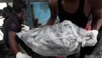 Ikan-ikan tersebut sudah terbungkus rapi dalam plastik dan siap untuk dilelang.