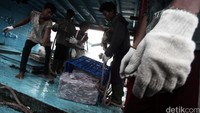 Pekerja menurunkan ikan dari kapal.