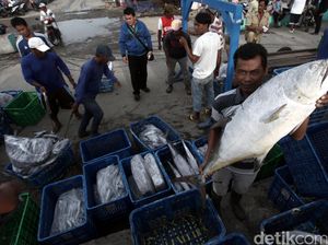 Ini Kendala Perbankan Cairkan Kredit ke Industri Perikanan