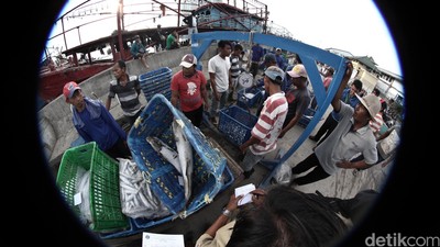 Cuaca Buruk Hasil Tangkapan Nelayan Menurun