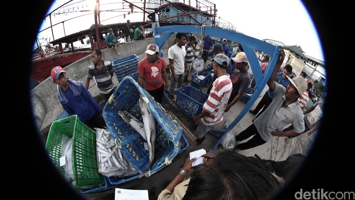 Pelni Siap Angkut Hasil Perikanan di Pulau Terluar Hingga Perbatasan