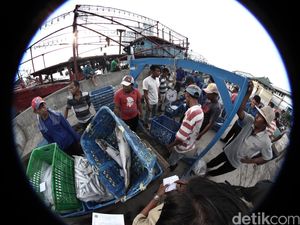 Pelni Siap Angkut Hasil Perikanan di Pulau Terluar Hingga Perbatasan
