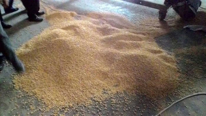 Ribut Jagung Langka, DPR: Data Tak Akurat Bikin Kebijakan Ngaco