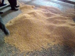 Ribut Jagung Langka, DPR: Data Tak Akurat Bikin Kebijakan Ngaco