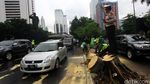 Pohon Tumbang di Sudirman Dibersihkan