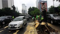 Dinas pertamanan DKI Jakarta dibantu oleh PPSU Kelurahan Karet dan pihak kepolisian agar tak mengganggu pengguna jalan.