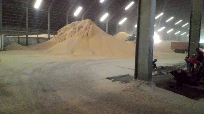 Ini Syarat Bagi Peternak Beli Jagung Operasi Pasar Bulog