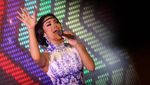 Kiprah Musik Krisdayanti Sebelum Dapat Gaji DPR RI