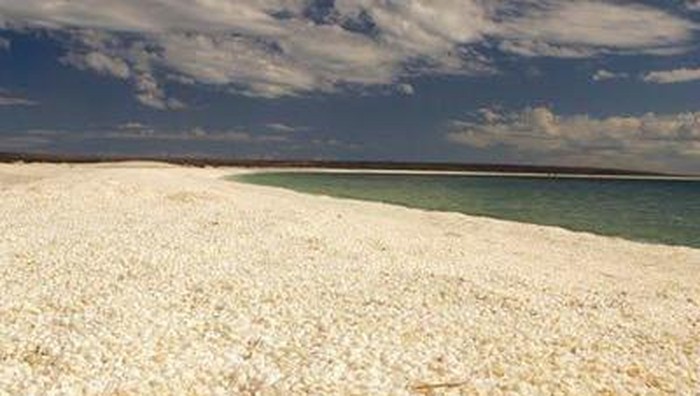 Inikah Pantai Paling Unik di Australia?
