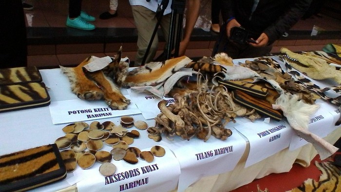 Selain Aksesoris, Organ Tubuh Satwa Langka Juga Dijual untuk Obat Kuat