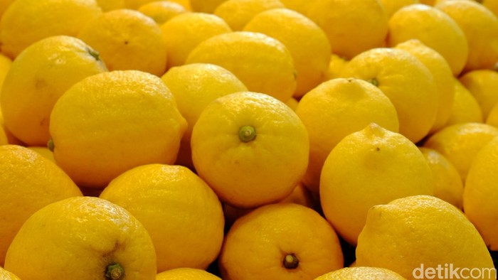 Apa Makanan yang Harus Dikonsumsi Agar Jadi Pengendara yang Andal?