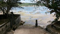 Tempat budidaya rumput laut terbuka setiap hari untuk wisatawan. Ada pula kios yang menjual suvenir khas Bali untuk oleh-oleh (Kurnia/detikTravel)