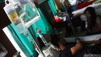 Musim hujan dan lingkungan yang tidak sehat salah satu penyebab meningkatnya penderita DBD.