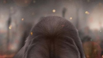 Kehidupannya berubah setelah diberikan sebuah iPad. Foto: Jaime Ocabo Sanjuan.