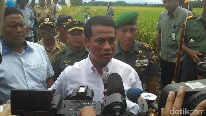 Mentan Sebut Tata Niaga Jagung Tak Sehat
