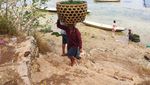 Menengok Aktivitas Petani Rumput Laut di Bali