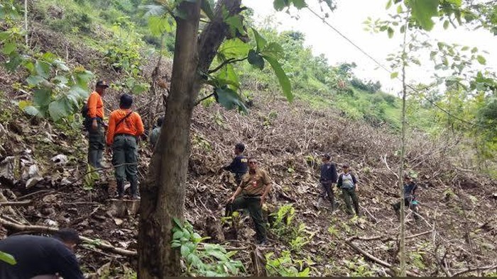 Perhutani Temukan 125 Titik Rawan Longsor di Situbondo