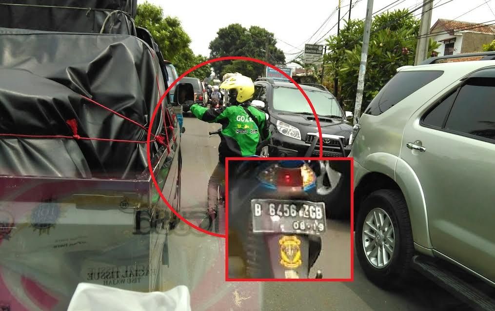 Eng katta dumba videolari