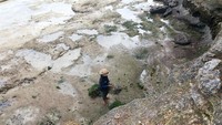 Para petani, baik pria maupun wanita tampak bekerja dengan semangat. Mereka pun ramah dan menyambut dengan baik bila ada turis yang mengajak ngobrol (Kurnia/detikTravel)