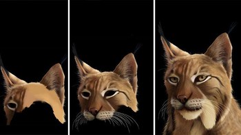 Dengan sentuhan jari-jarinya dan beberapa aplikasi digital melukis, Jaime mampu menghasilkan karya mengagumkan. Foto: Jaime Ocabo Sanjuan