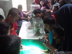 Banyak Orang Tonton Jenglot dan Keris Raksasa, Uang Sumbangan Sehari Capai Rp 600 Ribu